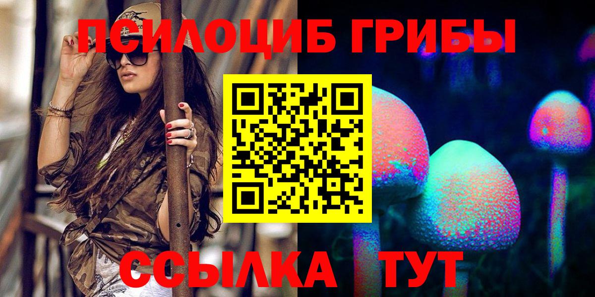 Псилоцибиновые грибы Psilocybine cubensis Щёлково