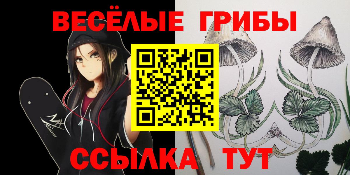 Псилоцибиновые грибы ЛСД  Вход с VPN  Щёлково 